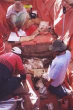 Three men kneel by uncovered remains. One man is looking over notes, two others work to plaster bones in an effort to preserve them.