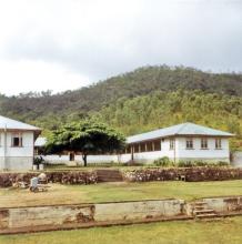 A colour photograph of the Boys' Dormitories at Palm Island Dormitory. The buildings are at the foot of a hill that is dense with vegetation, and a large tree is growing in the middle of the dormitories.