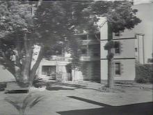 A black and white photograph of Parramatta Girls' Industrial School. There are two large trees growing in front of the building, and their foliage is shading benches beneath them.