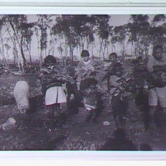 A black and white photograph of a group of children from Colebrook Home. They are in a field, accompanied by sheep, while they are collecitng firewood.