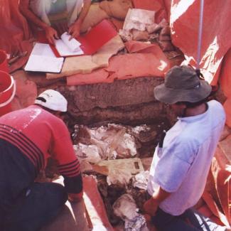 Three men kneel by uncovered remains. One man is looking over notes, two others work to plaster bones in an effort to preserve them.