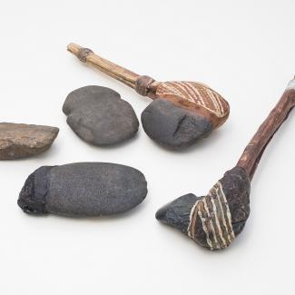 Two ancient tools comprised of a painted stone head afixed to a wooden handle rest alongside three stone axe-head artefacts.